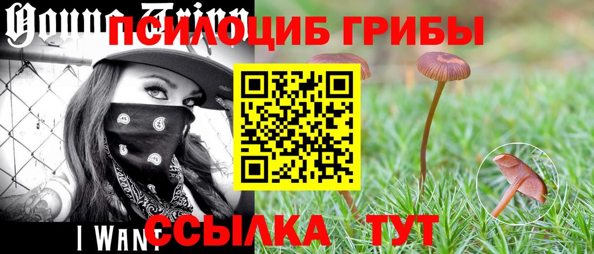 Псилоцибиновые грибы MAGIC MUSHROOMS Волгоград